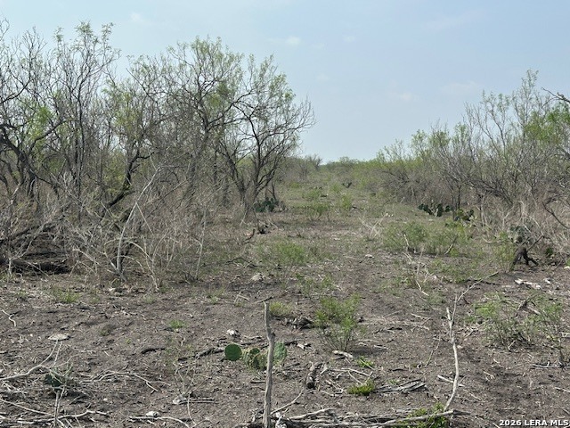 306 Cr 305 Tilden TX 78072