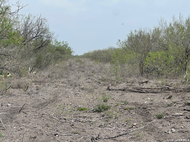 306 Cr 305 Tilden TX 78072