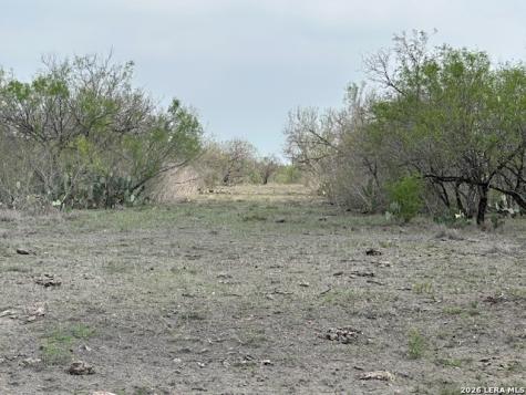 306 Cr 305 Tilden TX 78072