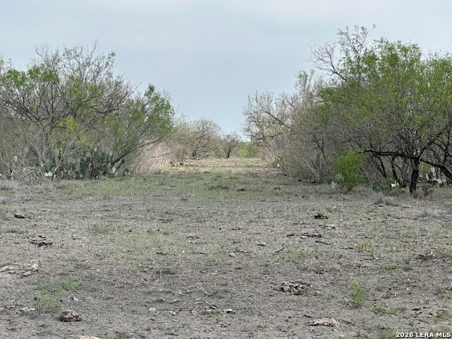 306 Cr 305 Tilden TX 78072