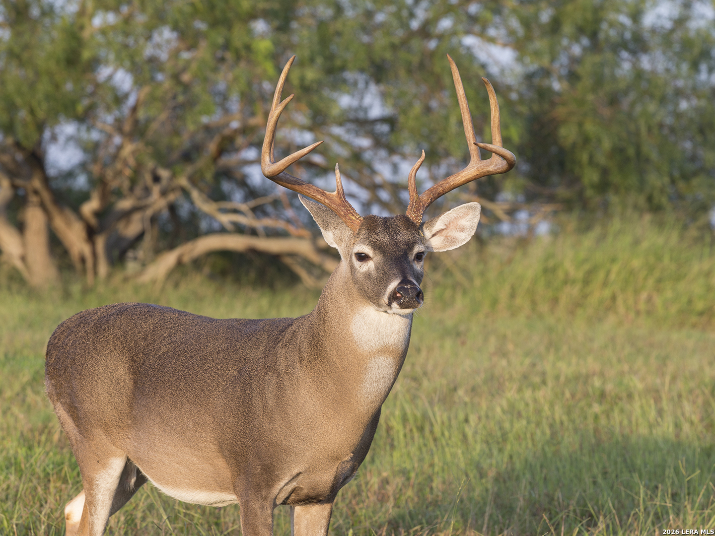 Junction TX 76849