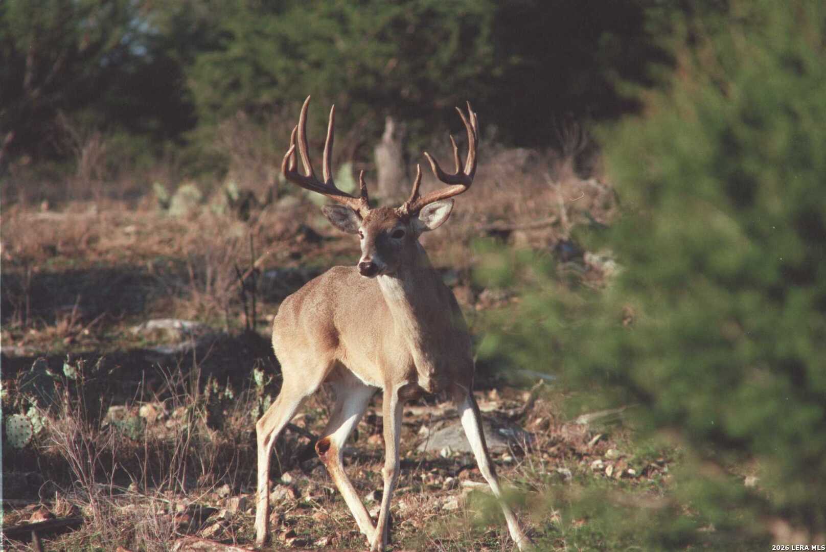 Junction TX 76849