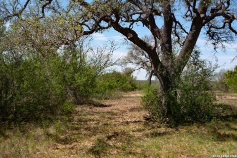 2632 Slickfield Road York Town TX 78164