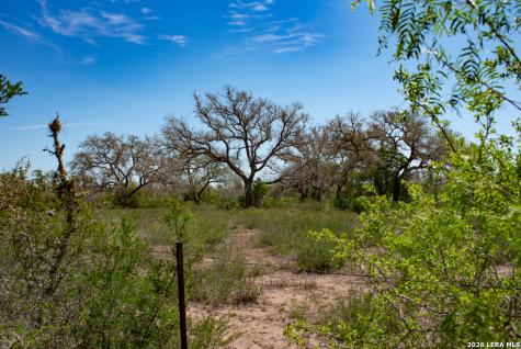 2632 Slickfield Road York Town TX 78164