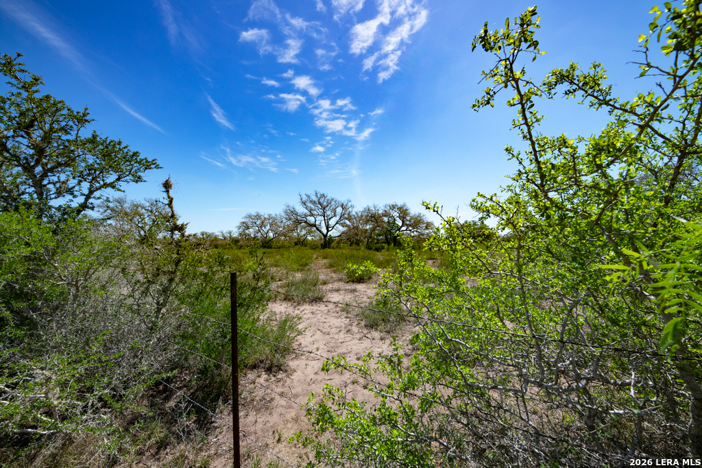 2632 Slickfield Road York Town TX 78164