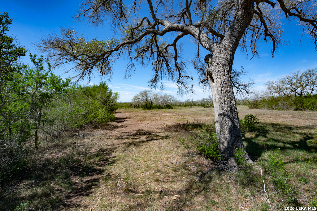 2632 Slickfield Road York Town TX 78164
