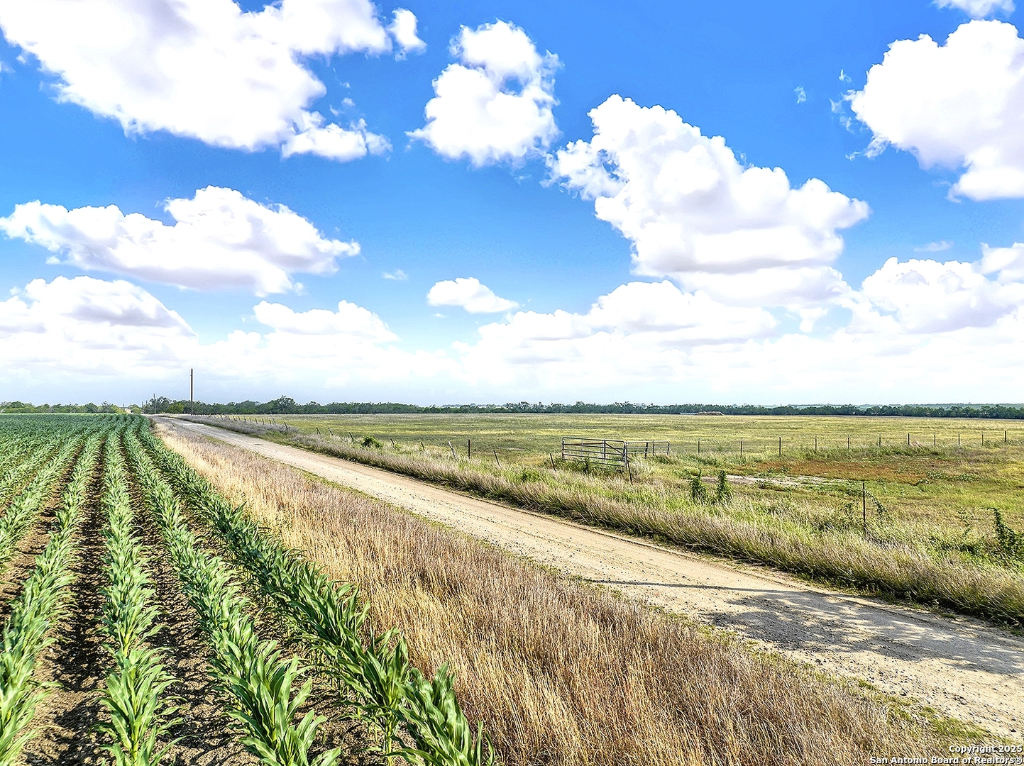 Fm 1347 Cr 463 Stockdale TX 78160