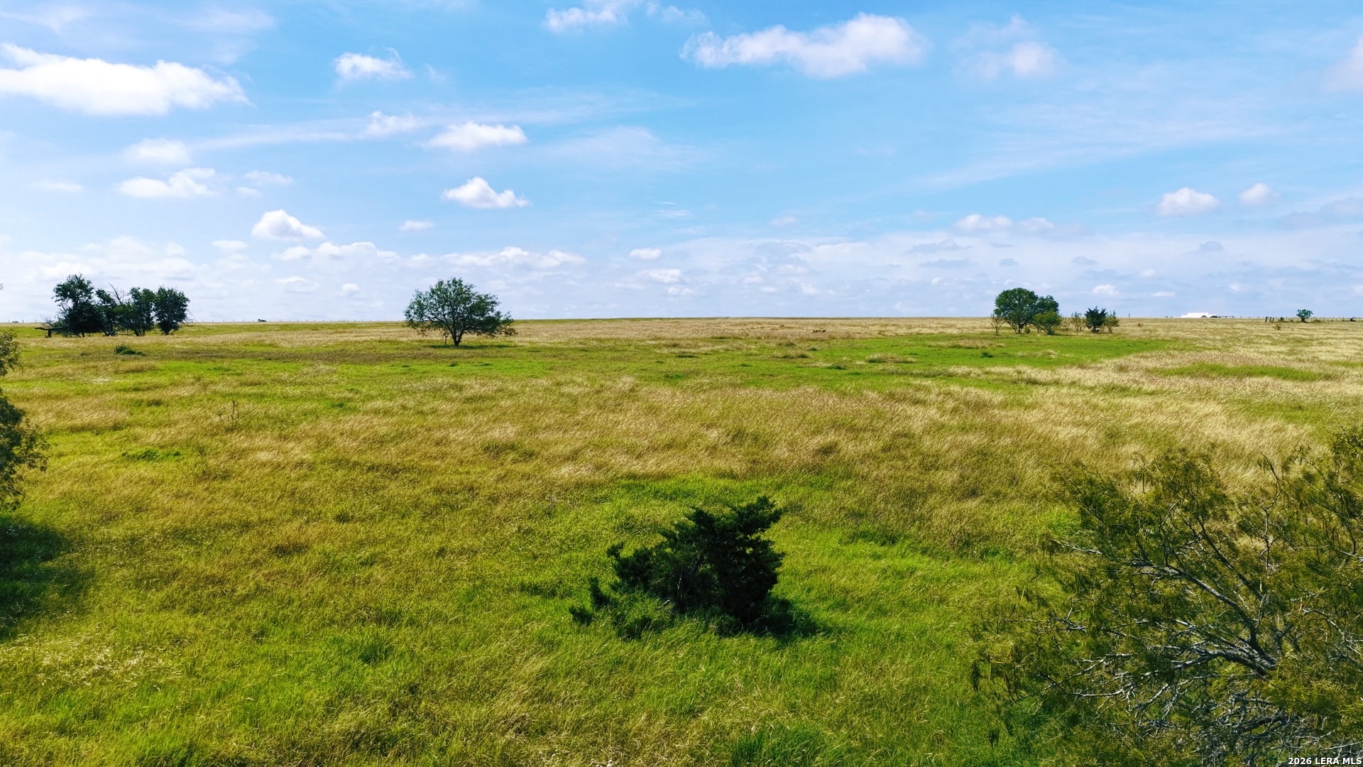 1162 County Road 234b Hallettsville TX 77964
