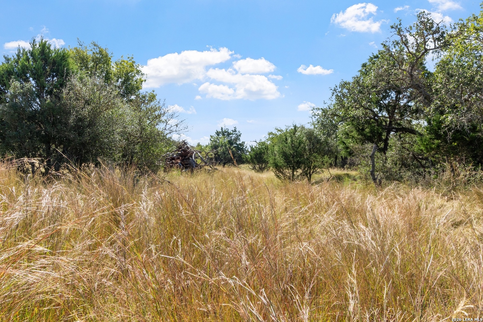 647 Funf Kinder Road Fredericksburg TX 78624