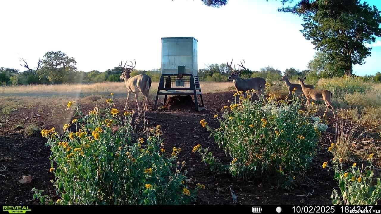 647 Funf Kinder Road Fredericksburg TX 78624