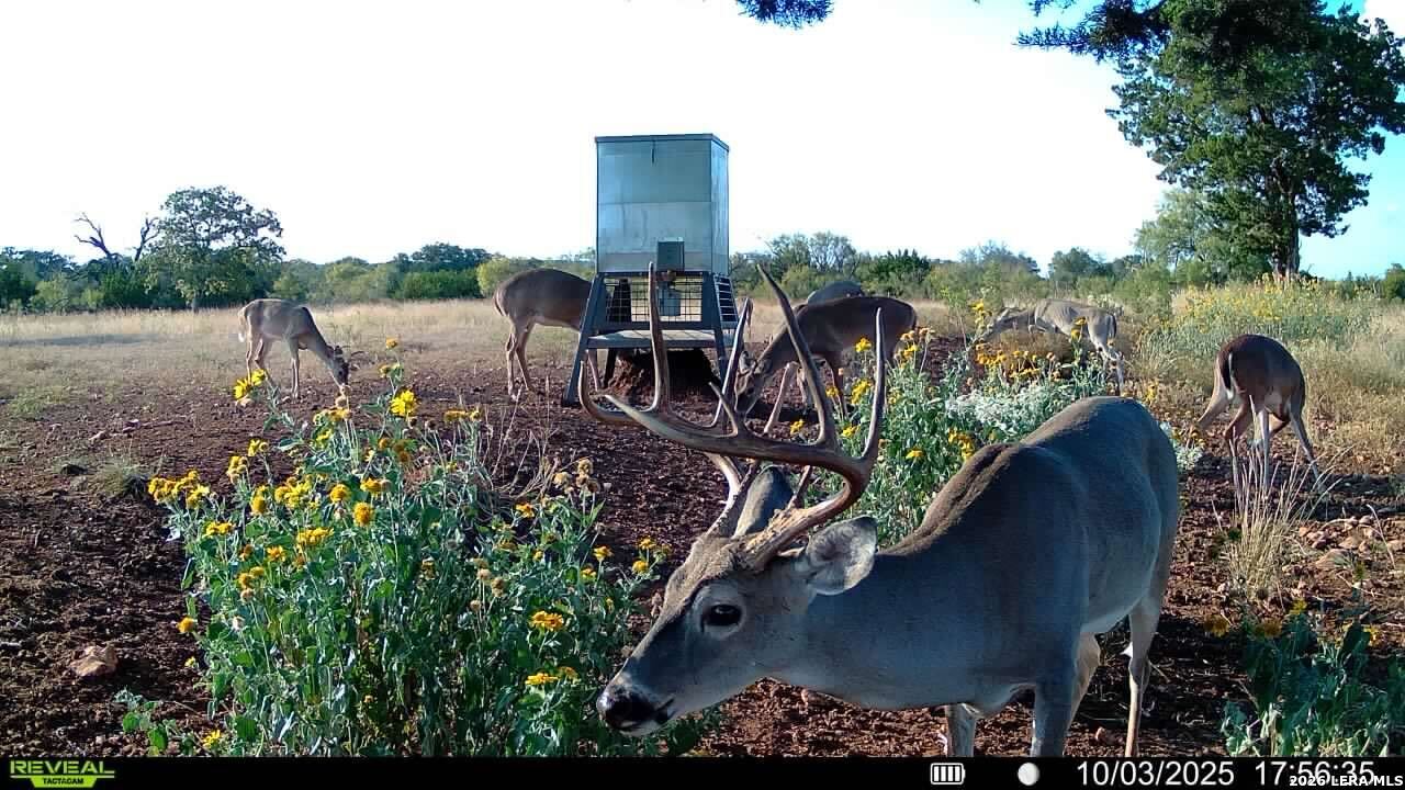 647 Funf Kinder Road Fredericksburg TX 78624