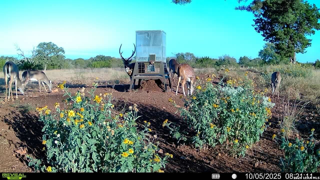 647 Funf Kinder Road Fredericksburg TX 78624