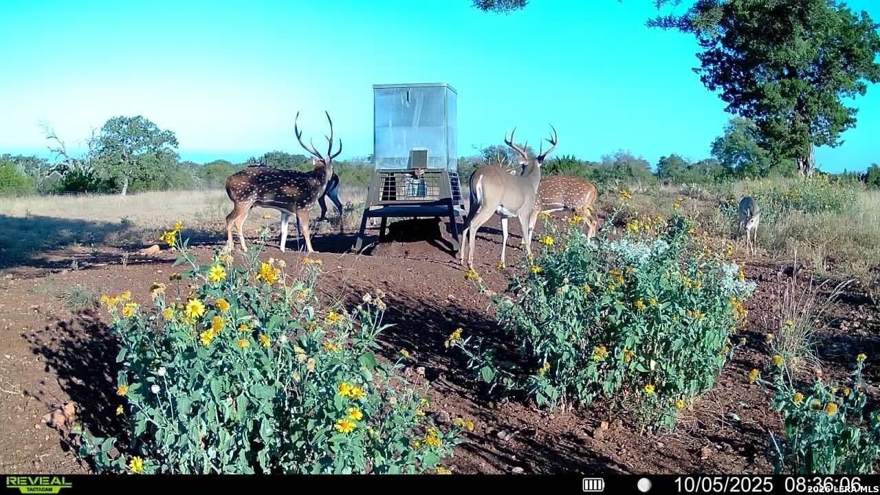 647 Funf Kinder Road Fredericksburg TX 78624