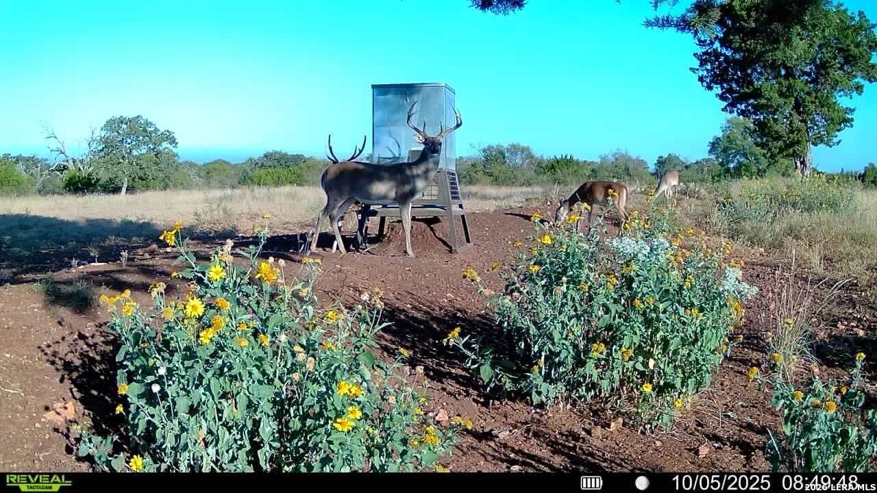 647 Funf Kinder Road Fredericksburg TX 78624
