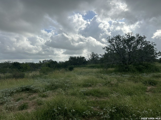 Tbd Leal Road Pleasanton TX 78064