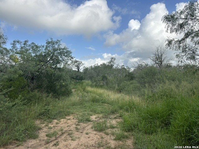 Tbd Leal Road Pleasanton TX 78064