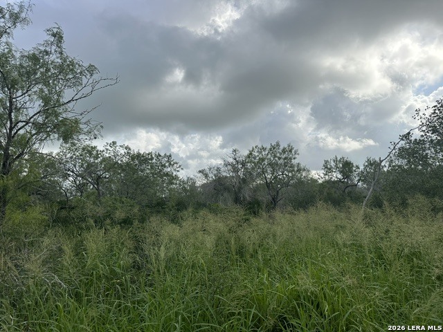 Tbd Leal Road Pleasanton TX 78064