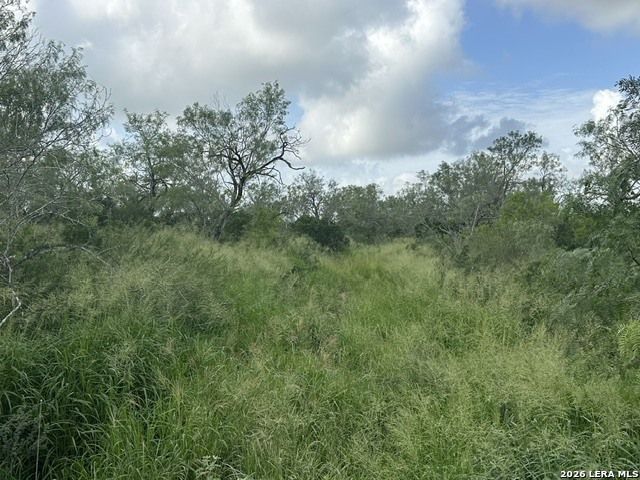 Tbd Leal Road Pleasanton TX 78064