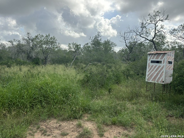 Tbd Leal Road Pleasanton TX 78064