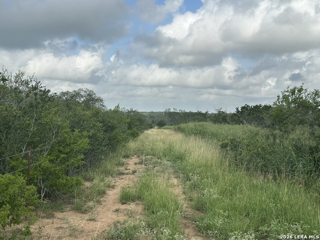 Tbd Leal Road Pleasanton TX 78064