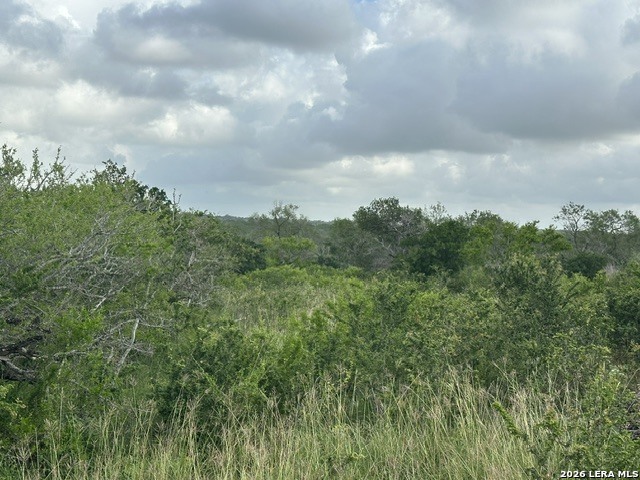 Tbd Leal Road Pleasanton TX 78064