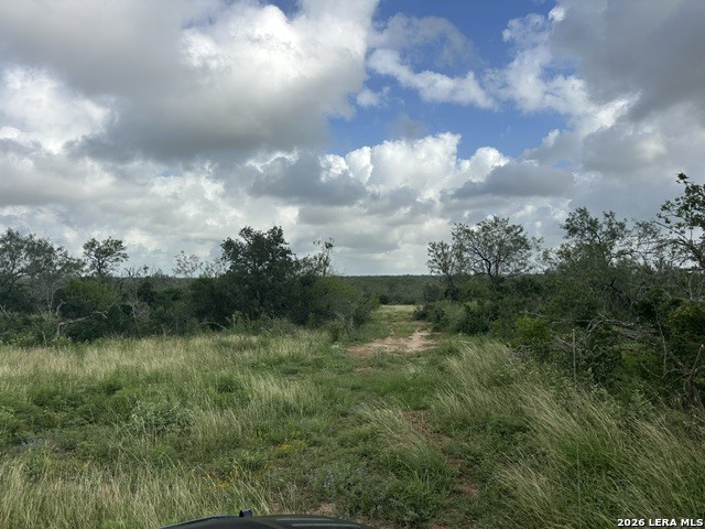 Tbd Leal Road Pleasanton TX 78064
