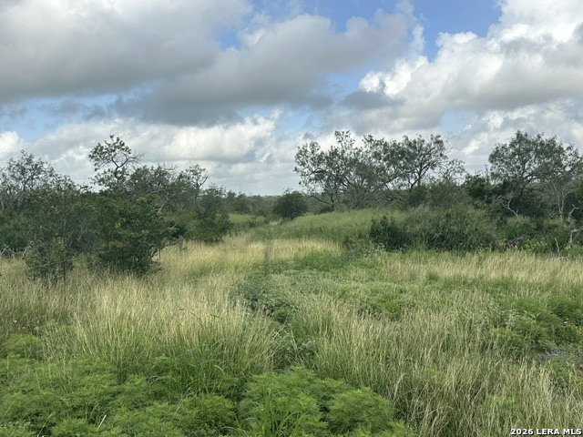 Tbd Leal Road Pleasanton TX 78064