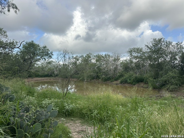 Tbd Leal Road Pleasanton TX 78064