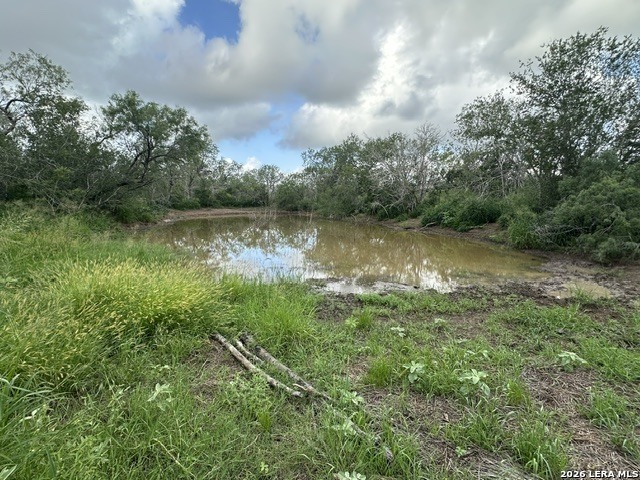 Tbd Leal Road Pleasanton TX 78064