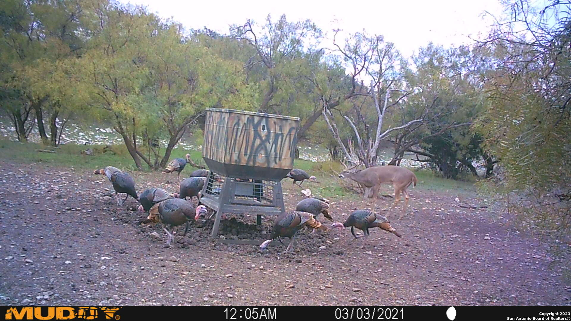587 Valley Road Eldorado TX 76936