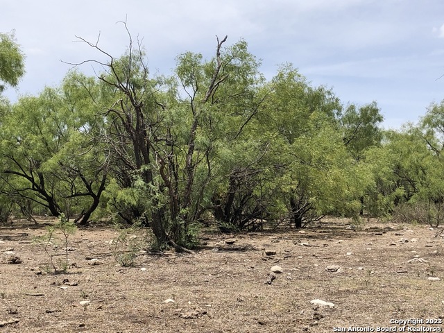 587 Valley Road Eldorado TX 76936