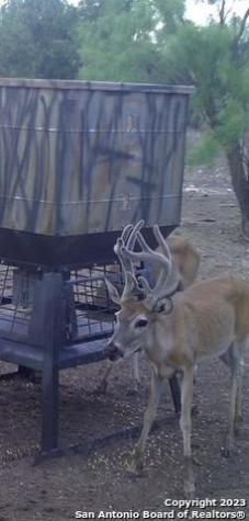 587 Valley Road Eldorado TX 76936