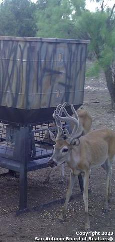 587 Valley Road Eldorado TX 76936