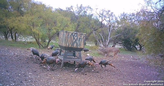 587 Valley Road Eldorado TX 76936