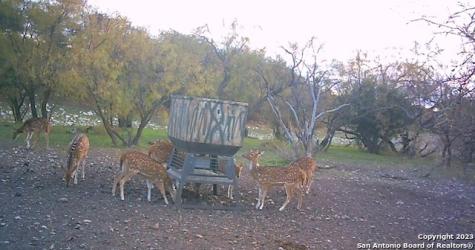 587 Valley Road Eldorado TX 76936