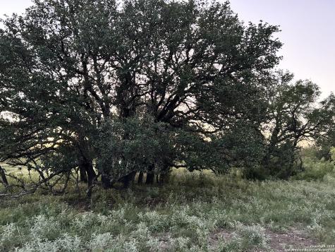587 Valley Road Eldorado TX 76936