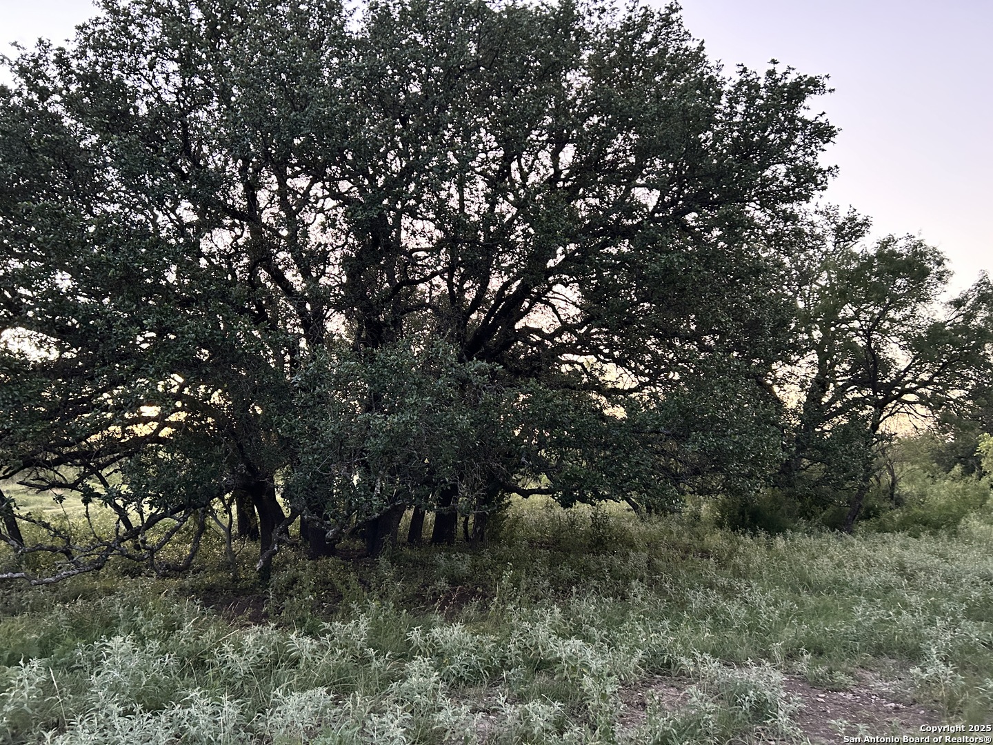 587 Valley Road Eldorado TX 76936