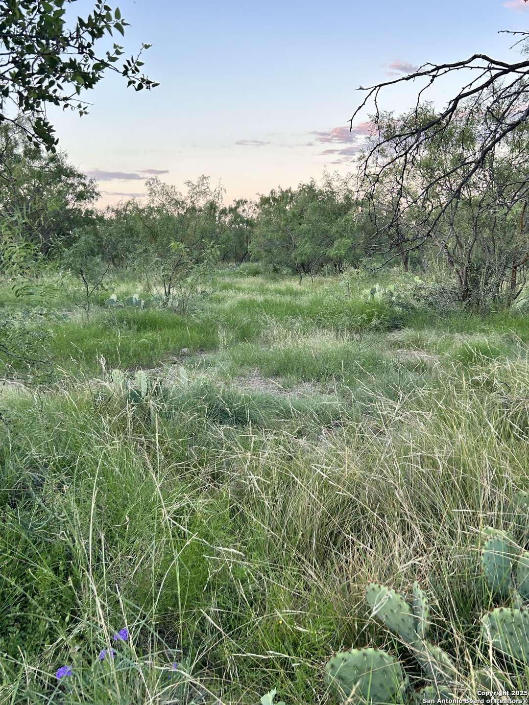 587 Valley Road Eldorado TX 76936