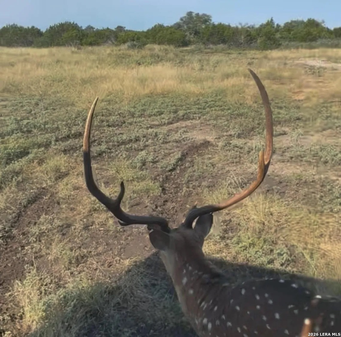 Tbd El Rincon Mountain Home TX 78058