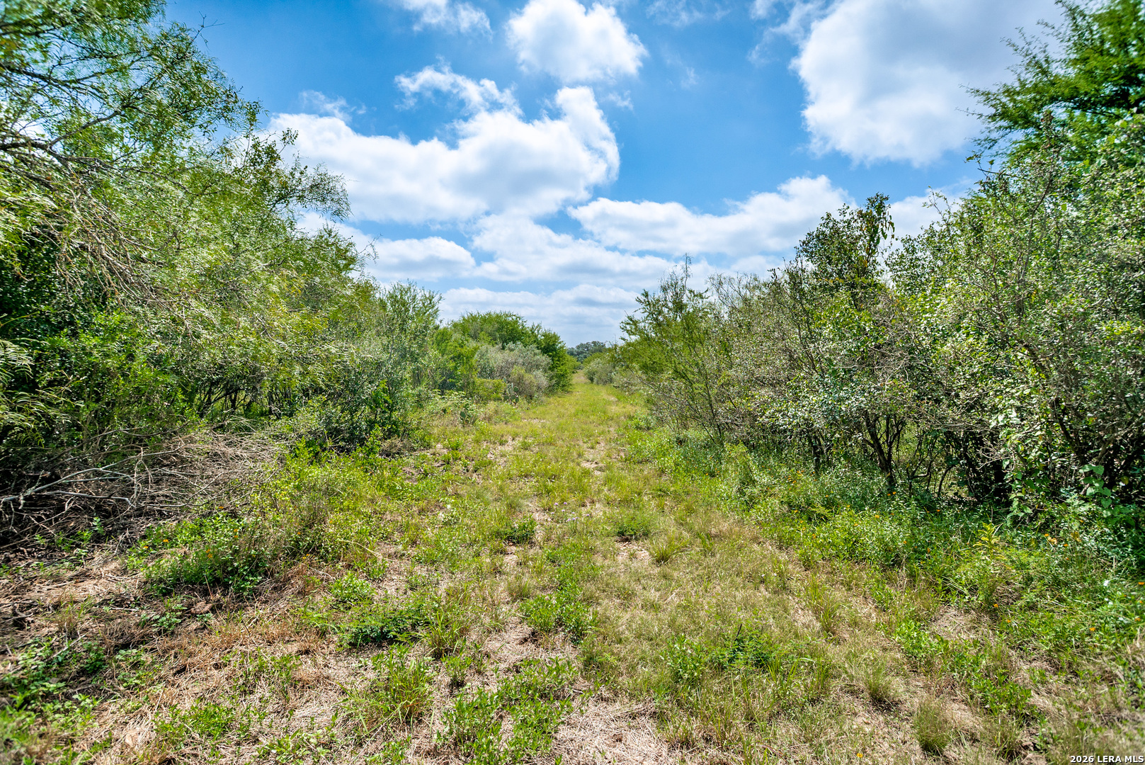 Tbd N Chisolm Trail Utopia TX 78884