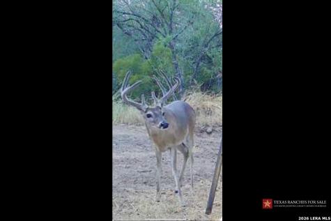 3355 Jim Brite Road Pleasanton TX 78064