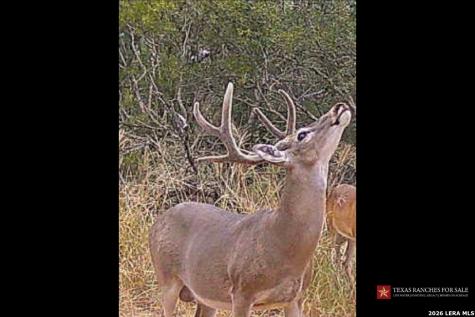 3355 Jim Brite Road Pleasanton TX 78064