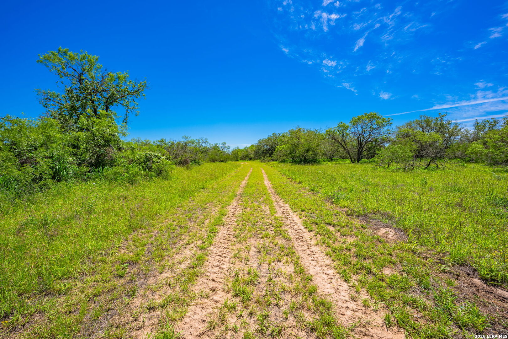 3355 Jim Brite Road Pleasanton TX 78064