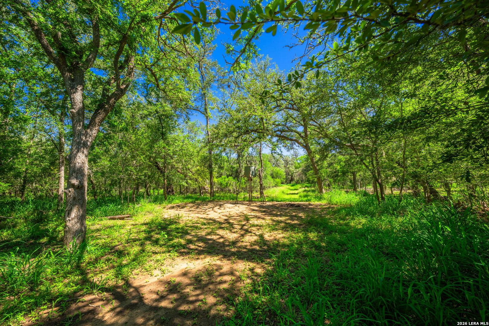 3355 Jim Brite Road Pleasanton TX 78064