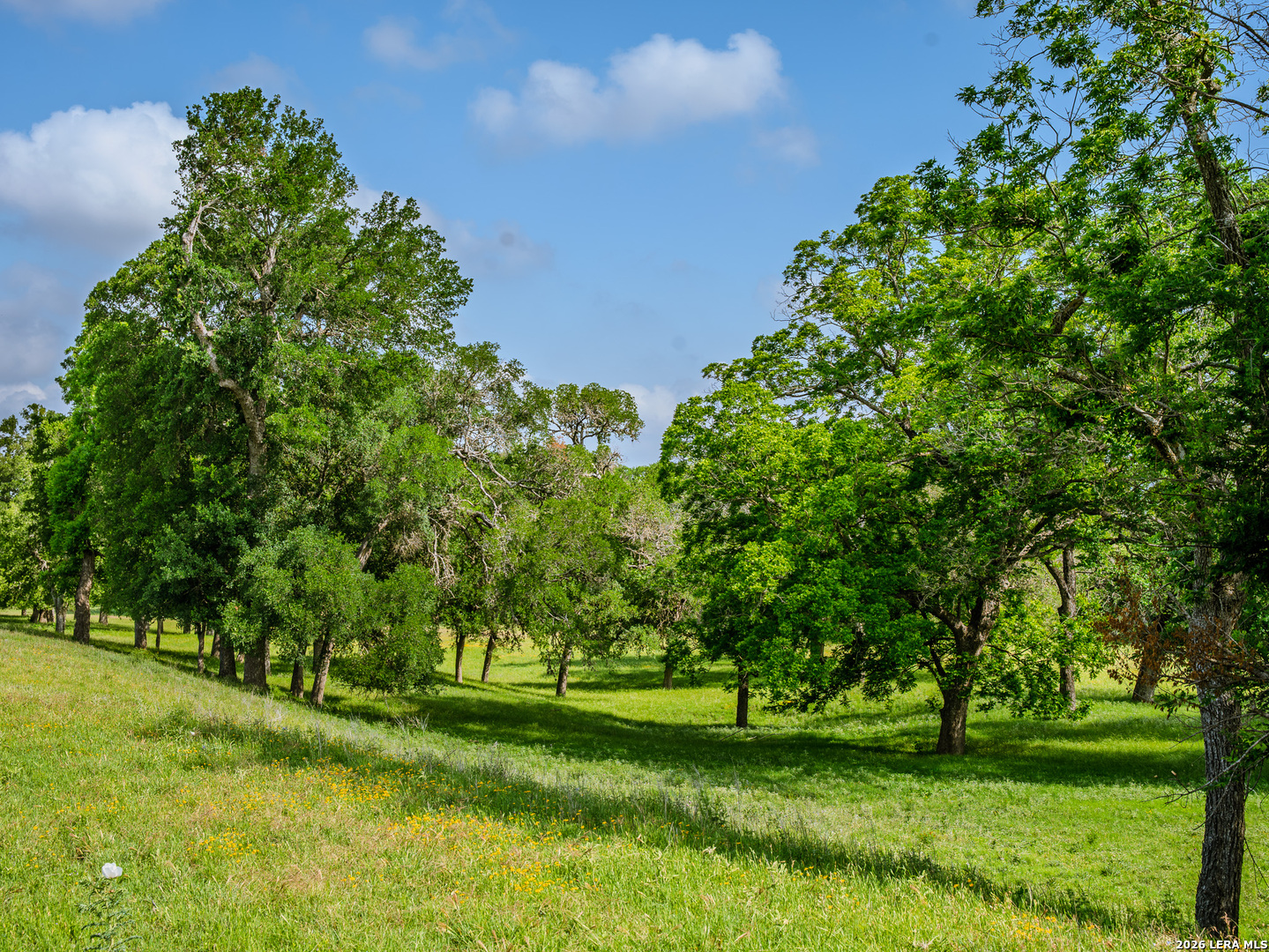 0000 Cypress River Ranch Comfort TX 78013