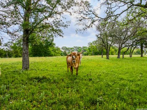 0000 Cypress River Ranch Comfort TX 78013