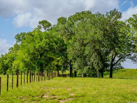 0000 Cypress River Ranch Comfort TX 78013