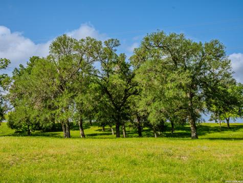 0000 Cypress River Ranch Comfort TX 78013