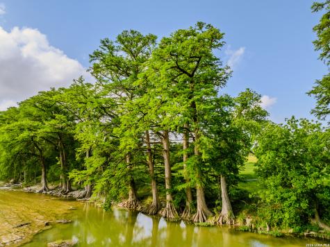 0000 Cypress River Ranch Comfort TX 78013