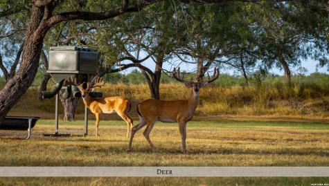 1958 County Road 237 Falls City TX 78113